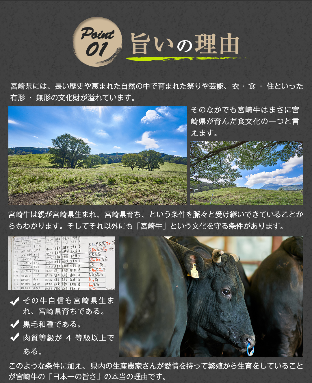 ミートインフォメーション 宮崎牛 旨い理由