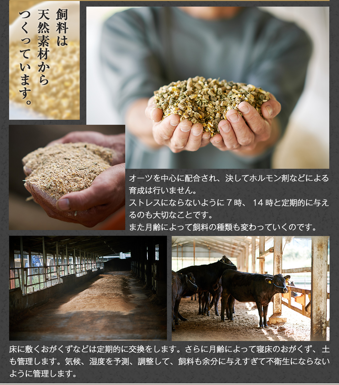 ミートインフォメーション 宮崎牛 旨い理由