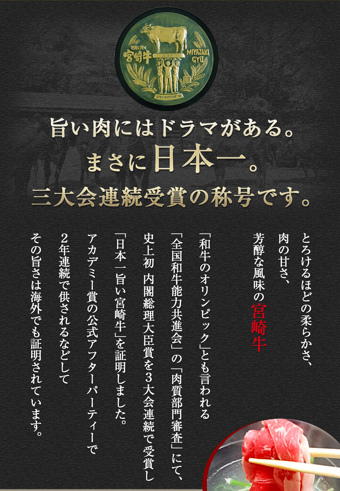 ミートインフォメーション 宮崎牛 ギフト