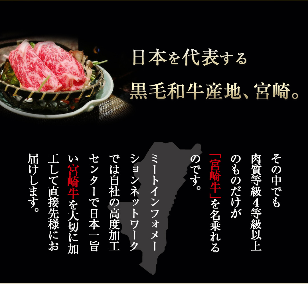 ミートインフォメーション 宮崎牛
