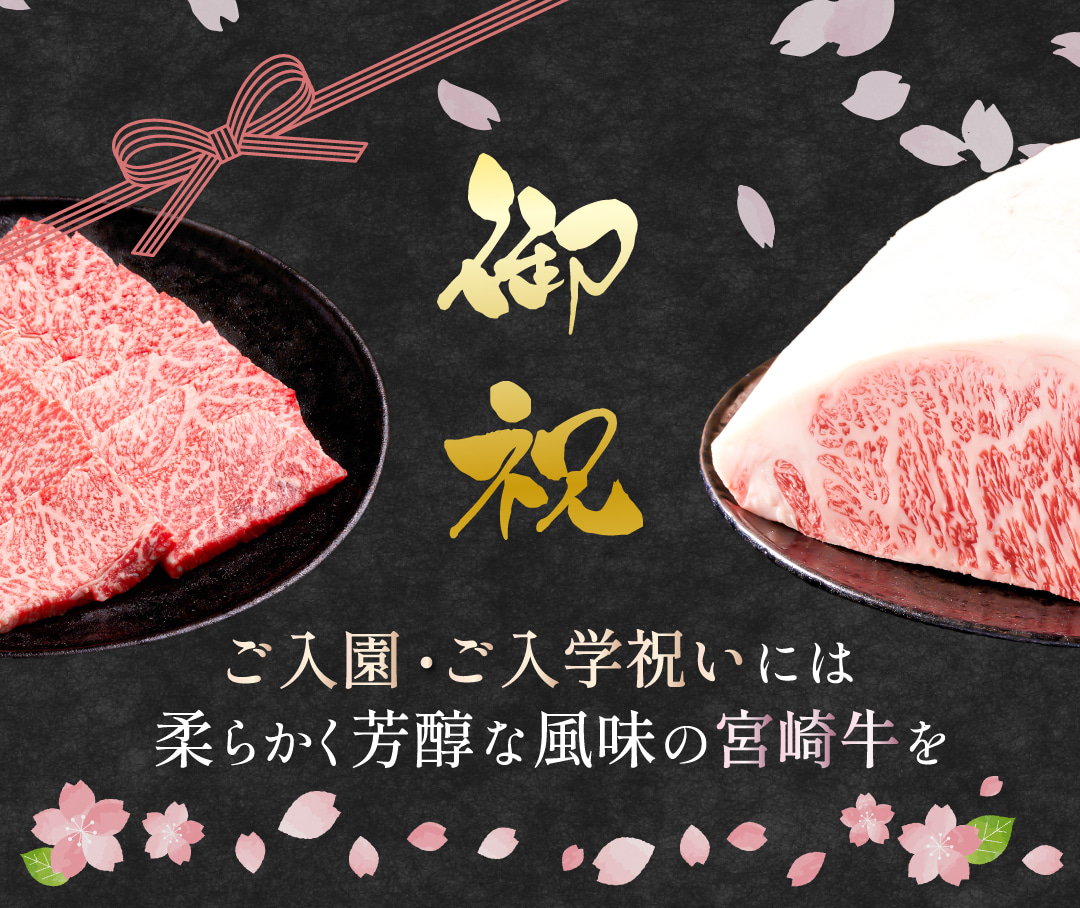 ミートインフォメーション 宮崎牛 すき焼き ステーキ ギフト